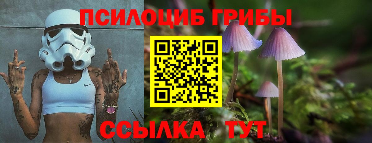 Тавда  Псилоцибиновые грибы ЛСД  купить  сайты  Вход с VPN  Галлюциногенные грибы ЛСД 